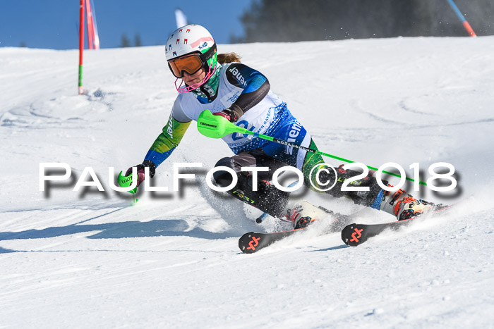 SVM U14/U16 Slalom 14.01.2018