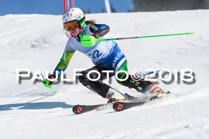 SVM U14/U16 Slalom 14.01.2018