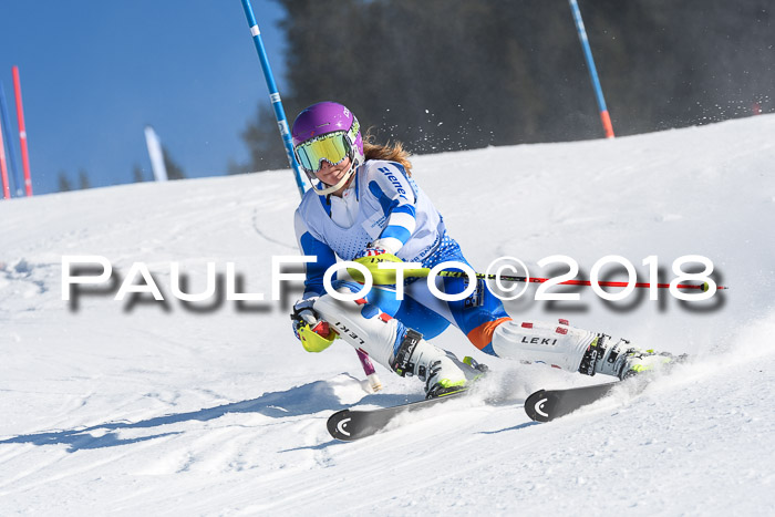SVM U14/U16 Slalom 14.01.2018