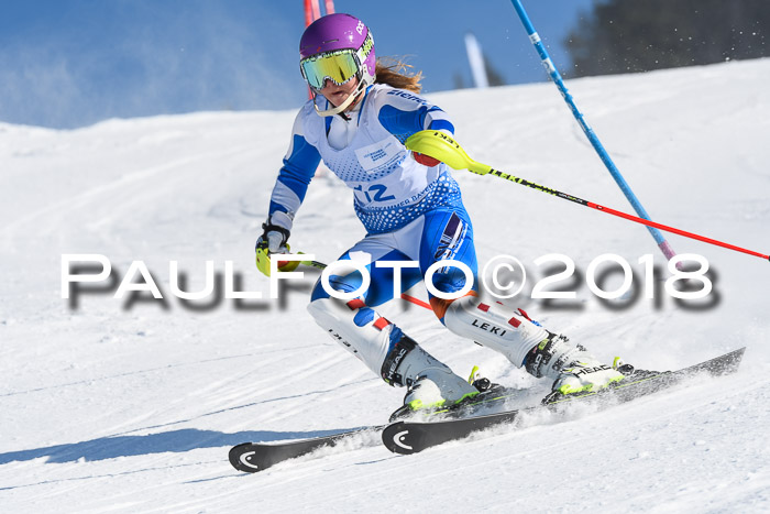 SVM U14/U16 Slalom 14.01.2018