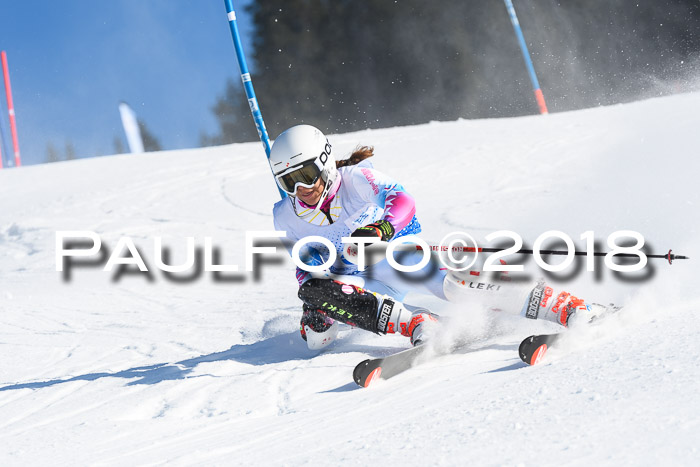 SVM U14/U16 Slalom 14.01.2018