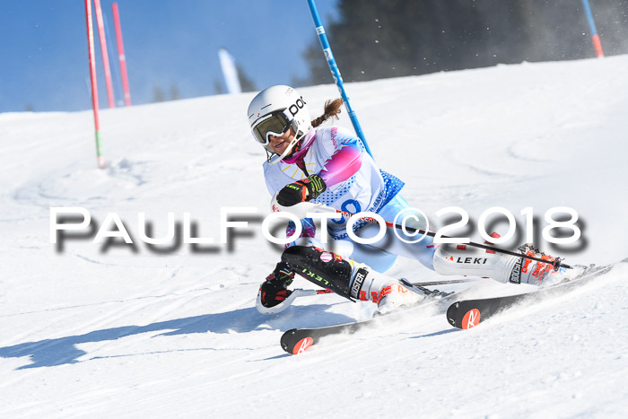 SVM U14/U16 Slalom 14.01.2018