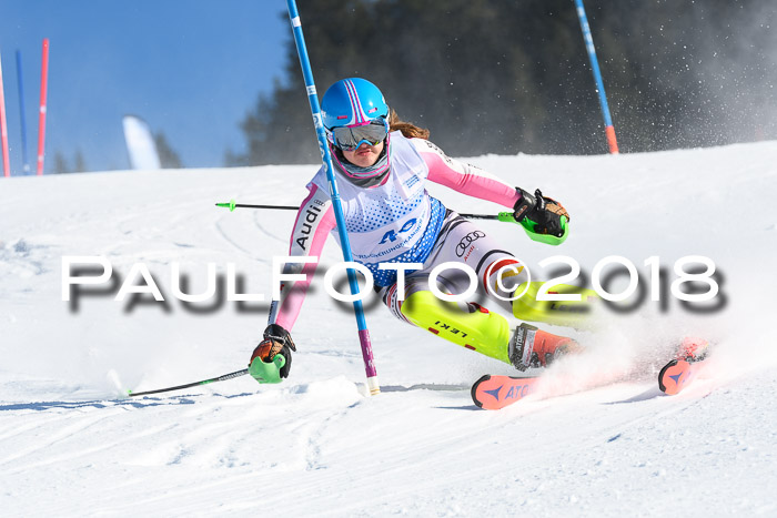 SVM U14/U16 Slalom 14.01.2018