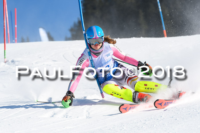 SVM U14/U16 Slalom 14.01.2018
