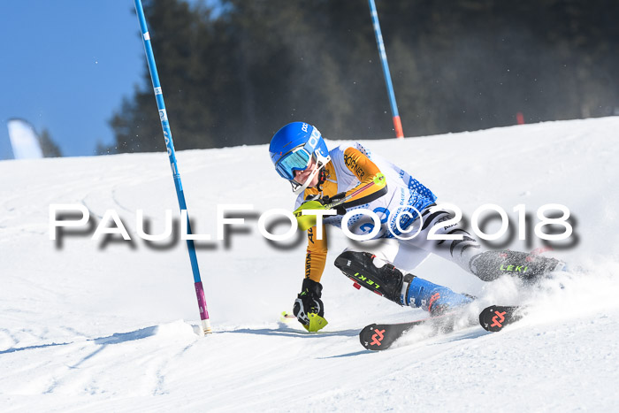 SVM U14/U16 Slalom 14.01.2018