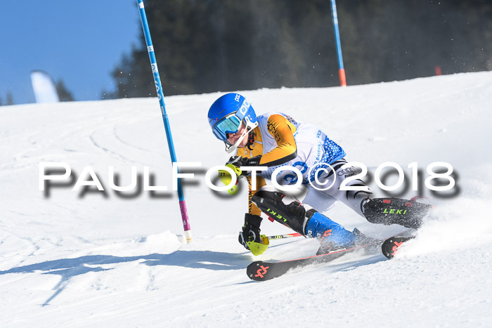 SVM U14/U16 Slalom 14.01.2018
