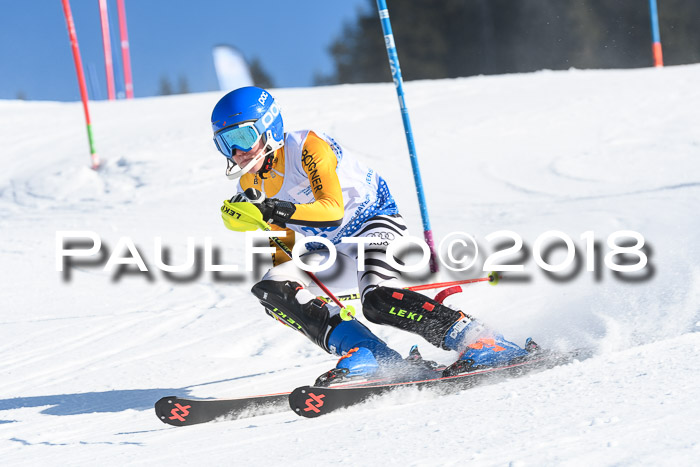 SVM U14/U16 Slalom 14.01.2018