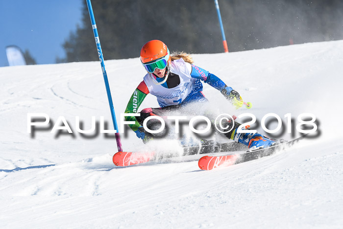 SVM U14/U16 Slalom 14.01.2018