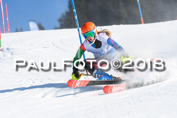 SVM U14/U16 Slalom 14.01.2018