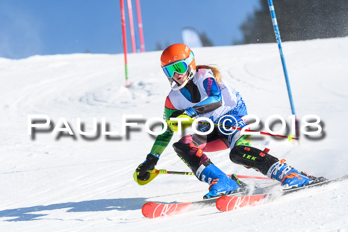 SVM U14/U16 Slalom 14.01.2018