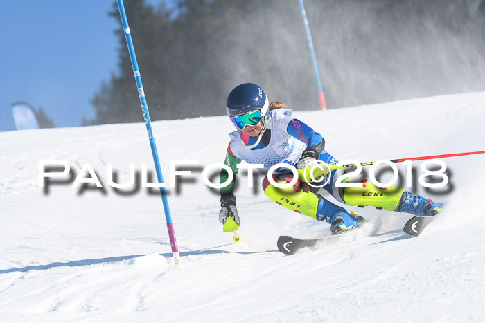 SVM U14/U16 Slalom 14.01.2018