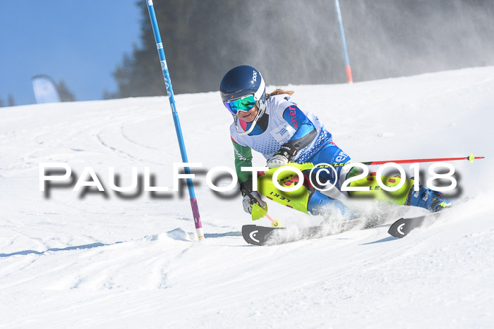 SVM U14/U16 Slalom 14.01.2018