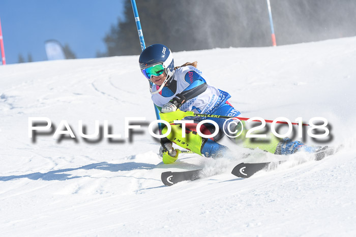 SVM U14/U16 Slalom 14.01.2018