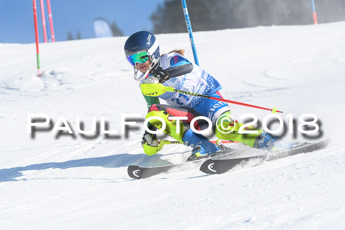 SVM U14/U16 Slalom 14.01.2018