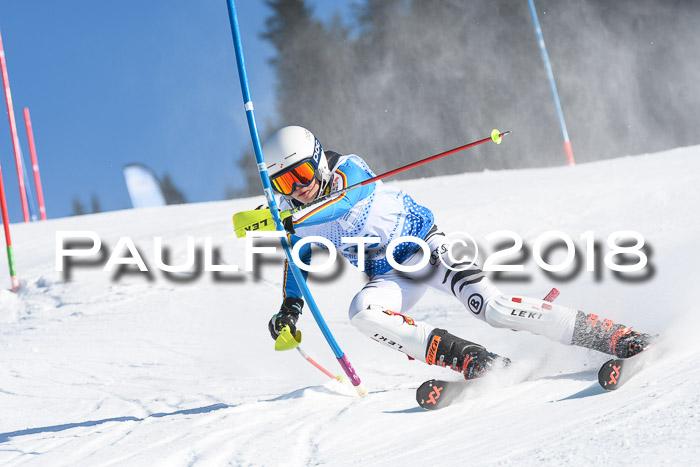 SVM U14/U16 Slalom 14.01.2018