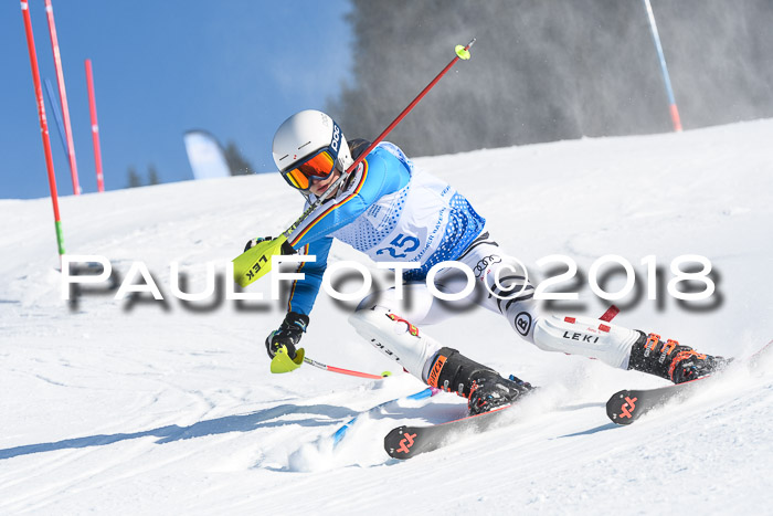 SVM U14/U16 Slalom 14.01.2018