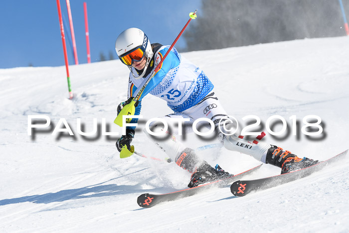 SVM U14/U16 Slalom 14.01.2018