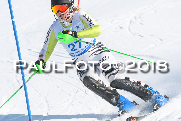 SVM U14/U16 Slalom 14.01.2018