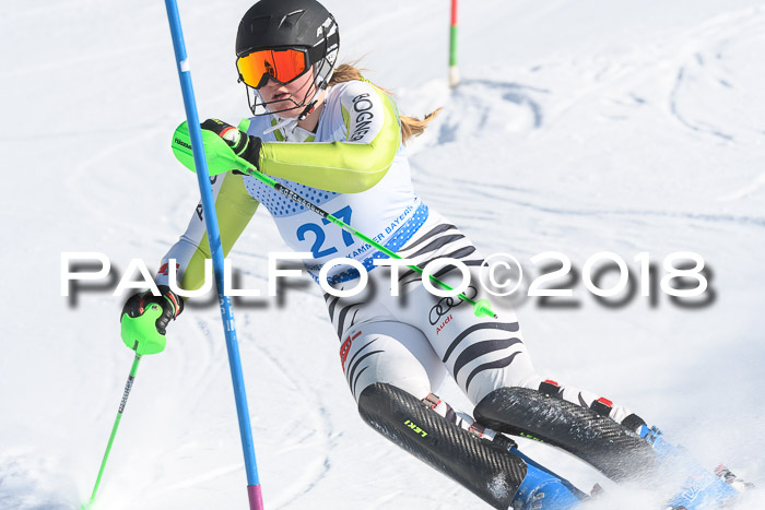 SVM U14/U16 Slalom 14.01.2018