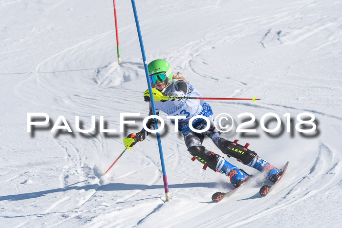 SVM U14/U16 Slalom 14.01.2018