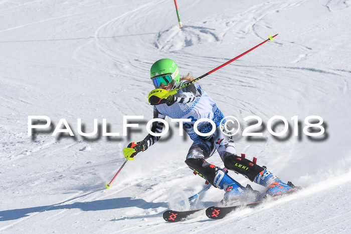 SVM U14/U16 Slalom 14.01.2018