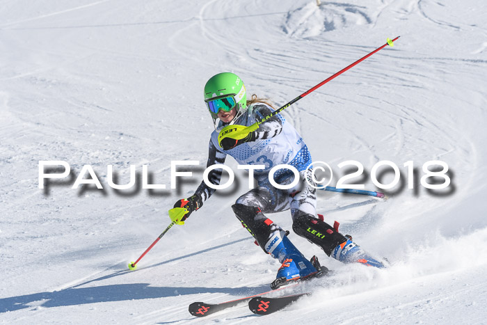 SVM U14/U16 Slalom 14.01.2018