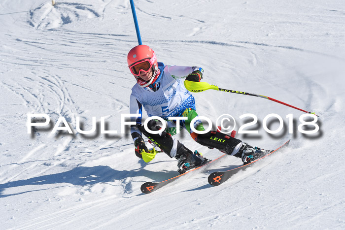 SVM U14/U16 Slalom 14.01.2018