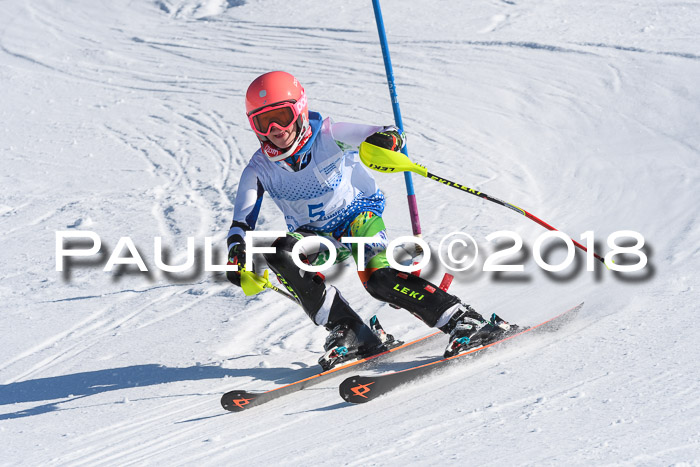 SVM U14/U16 Slalom 14.01.2018