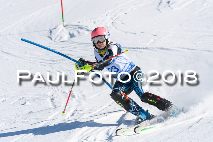 SVM U14/U16 Slalom 14.01.2018