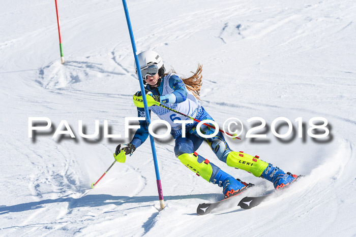 SVM U14/U16 Slalom 14.01.2018