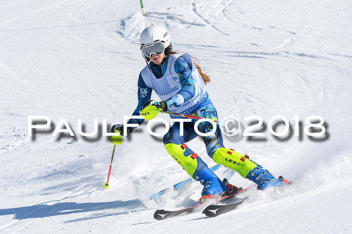 SVM U14/U16 Slalom 14.01.2018