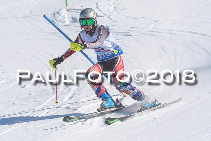 SVM U14/U16 Slalom 14.01.2018