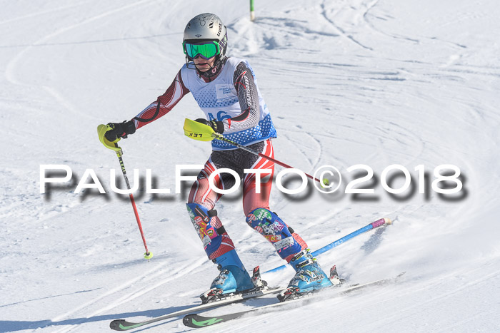 SVM U14/U16 Slalom 14.01.2018