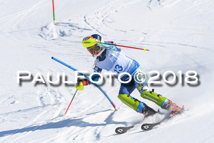 SVM U14/U16 Slalom 14.01.2018