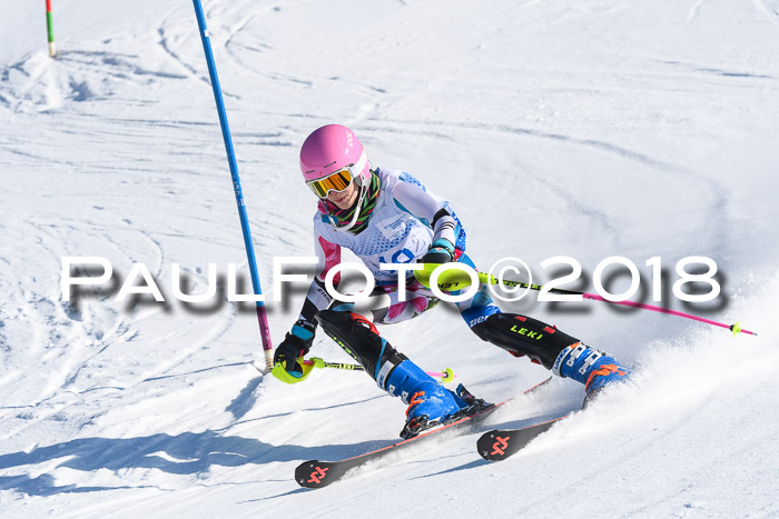 SVM U14/U16 Slalom 14.01.2018