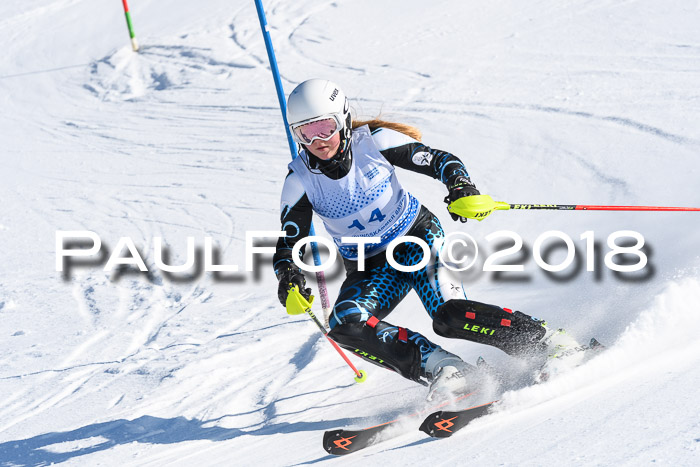SVM U14/U16 Slalom 14.01.2018