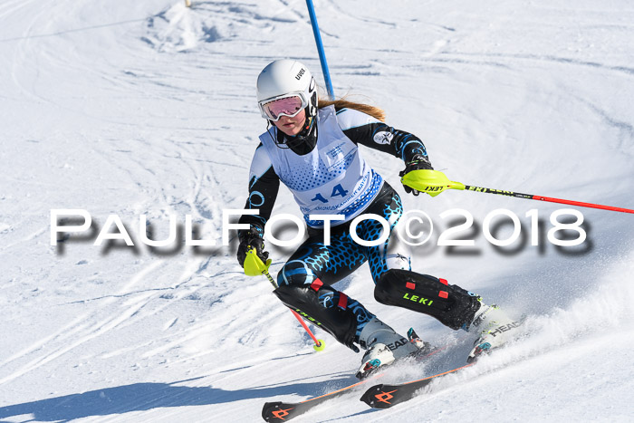 SVM U14/U16 Slalom 14.01.2018