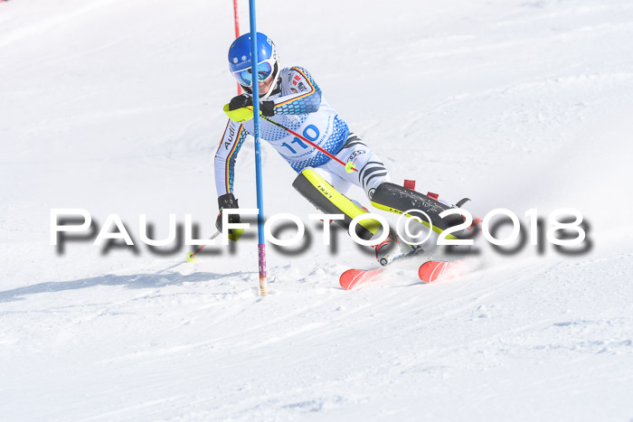 SVM U14/U16 Slalom 14.01.2018