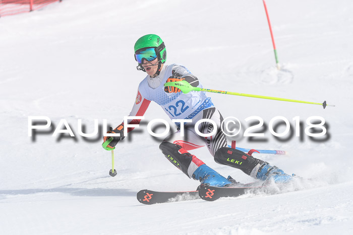 SVM U14/U16 Slalom 14.01.2018