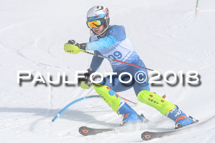 SVM U14/U16 Slalom 14.01.2018