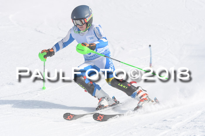SVM U14/U16 Slalom 14.01.2018