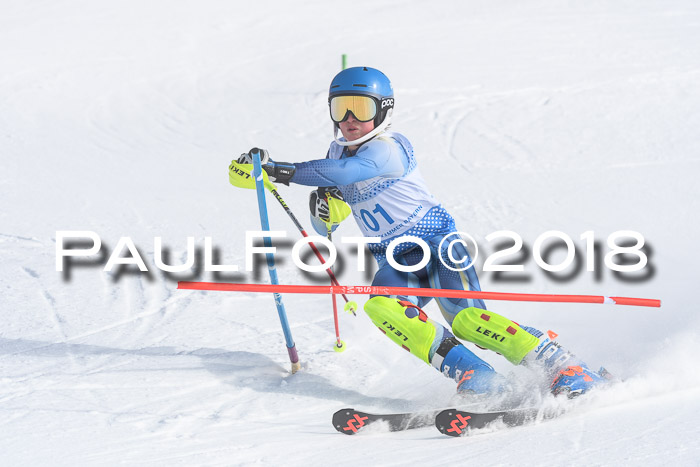 SVM U14/U16 Slalom 14.01.2018
