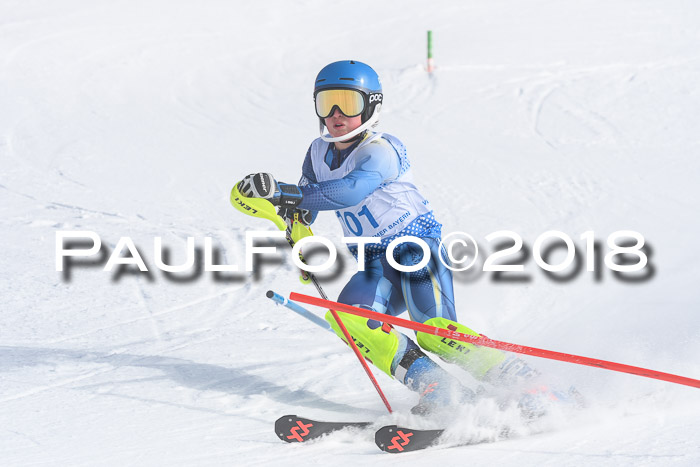 SVM U14/U16 Slalom 14.01.2018