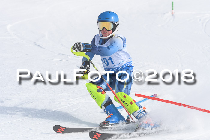 SVM U14/U16 Slalom 14.01.2018