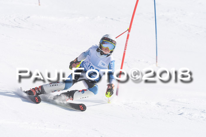 SVM U14/U16 Slalom 14.01.2018