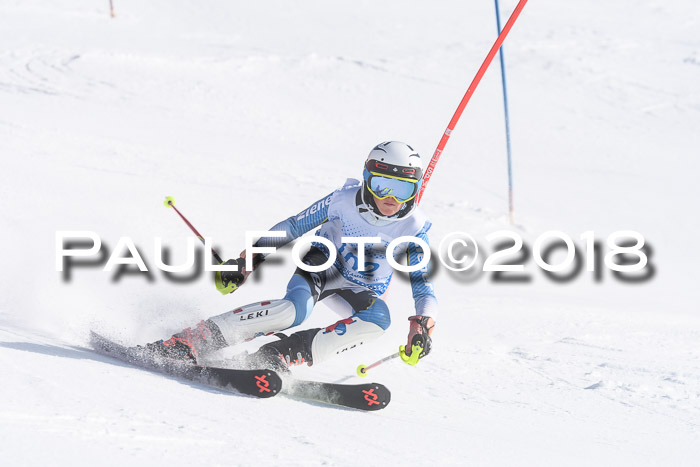 SVM U14/U16 Slalom 14.01.2018