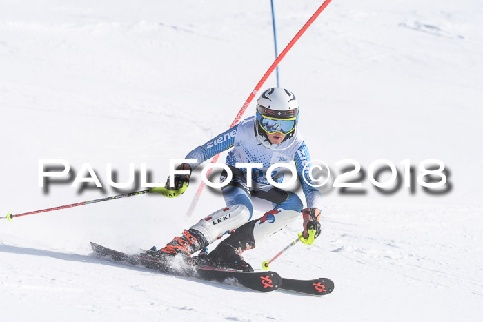 SVM U14/U16 Slalom 14.01.2018
