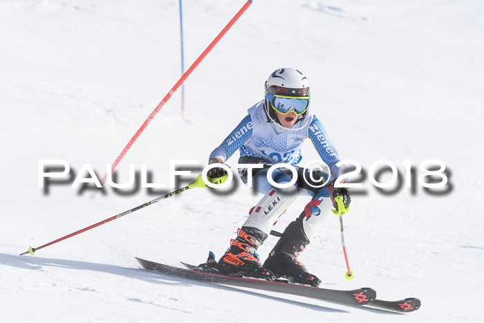SVM U14/U16 Slalom 14.01.2018