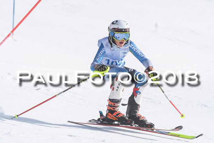 SVM U14/U16 Slalom 14.01.2018