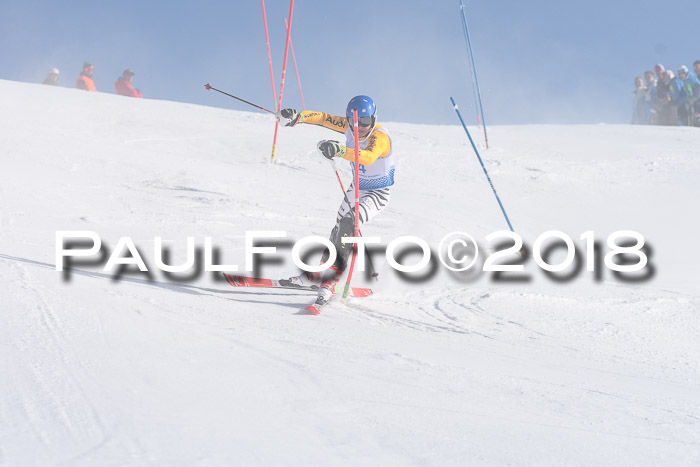 SVM U14/U16 Slalom 14.01.2018